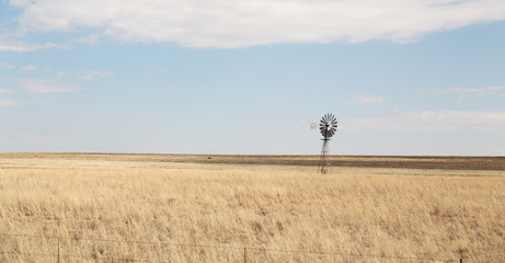 in south africa land bush and bush