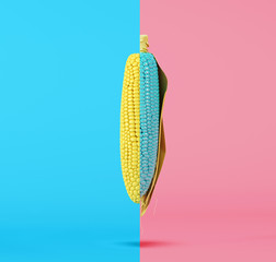Wall Mural - Contrast color Corn on blue half pink background. minimal food concept.