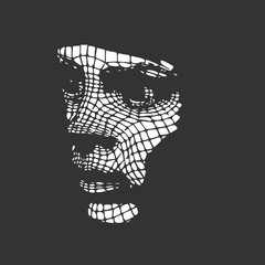 Head of the person from a 3d Grid. Human head wire model. 3D geometric face design. Polygonal covering skin.