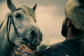 his horse who are interested in Turkish