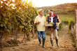 © luckybusiness - father and son celebrating harvesting grapes.