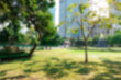 Blur background outdoor recreation public park in urban city in morning