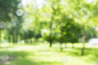 canvas print picture - blur natural and light background in the park.