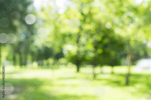 Fotomural blur natural and light background in the park.