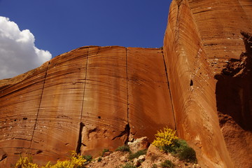 La tierra herida