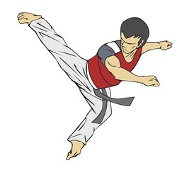 Wall Mural - Taekwondo. Martial art