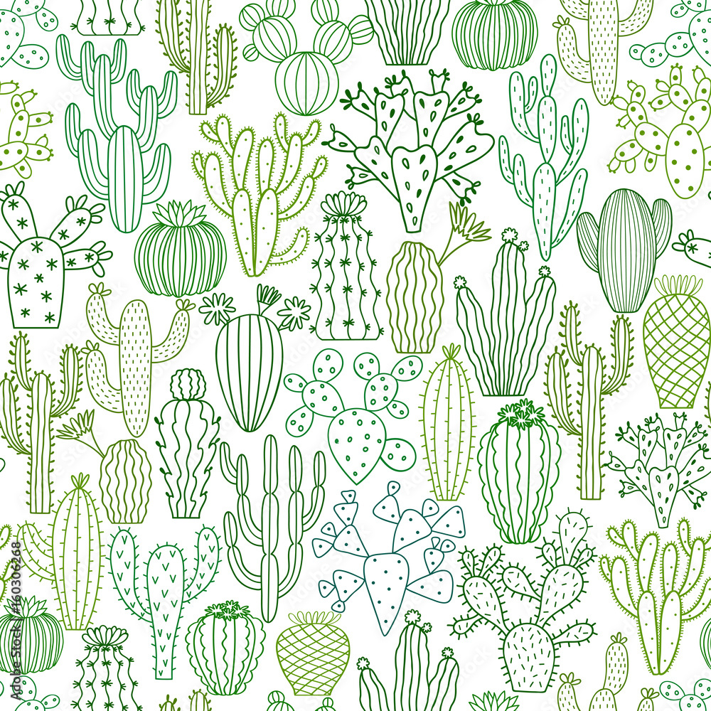 Vector cactus seamless pattern. Hand drawn doodle cacti background Stock  Vector | Adobe Stock