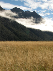 Milford Sound, Te Wahipounamu, New Zealand