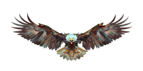 painted a flying eagle on a white background front