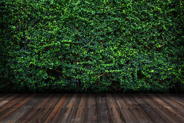 Green leaves wall with wood floor.