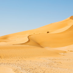 in oman old desert  rub al khali the empty  quarter and outdoor  sand dune