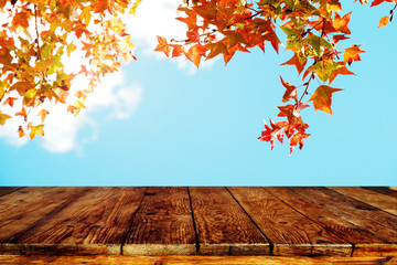 Wall Mural - top of wood table with beautiful autumn maple tree on sky background - empty ready for your product 