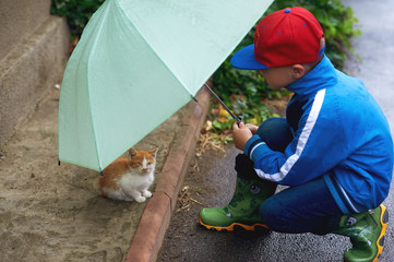 the child taking care of a kitten on the street , an umbrella sheltering him from the rain .