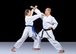 © andreyfire - Karate technique is trained by adult athletes