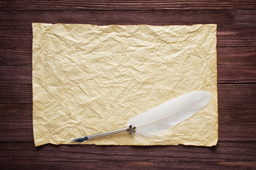 Wall Mural - Old paper on  brown wood texture with  white feather