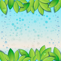 Wall Mural - vector illustration with fresh green leaves and water drops. ecological template, banner, abstract b