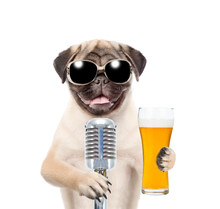 Funny Puppy In Sunglasses Holding Light Beer And Retro Microphone. Isolated On White Background