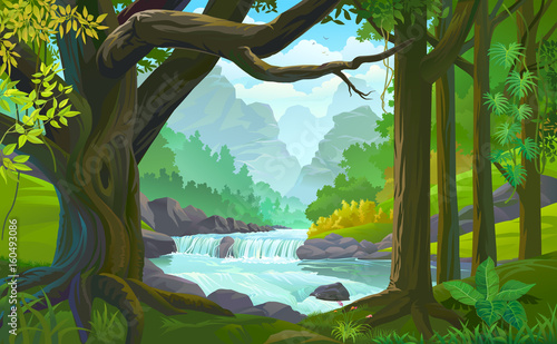 A stream of river flowing across a dense green forest
