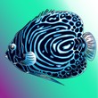 A vector blue sea  fish from ocean