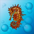 .A vector seahorse for illustration