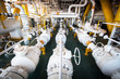 Industrial oil and gas offshore , Steel pipelines and valves