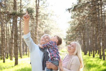 Wall Mural - Happy grandparents with little boy in forest on sunny day