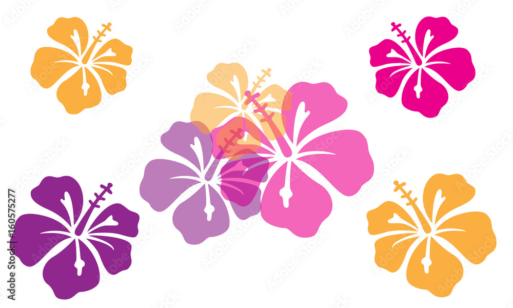 Hibiscus Flowers Vector - obrazy, fototapety, plakaty 