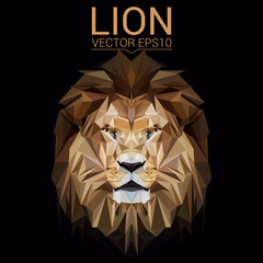 Lion low poly design. Triangle vector illustration.