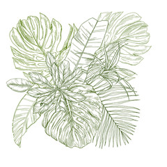 Sticker - Sketch composition with tropical leaves