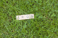 Scrabble Tiles Lying On Grass In The Garden