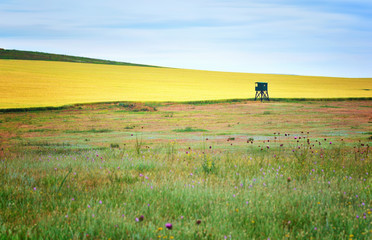 Canvas Print - Summer in Dobrogea land, region in Romania