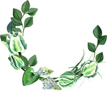 Watercolor Hand Drawn White And Green Parrot Tulips, Freesia, Eucalyptus, Ornithogalum Lilly Leaves Wreath. Decorative Floral Composition For Wedding Design. Round Frame For Your Design.