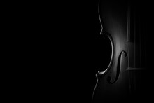 Violin Closeup Orchestra Musical Instruments