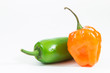 Jalapeno and habanero peppers on white background.