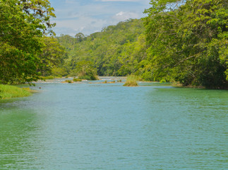 Wall Mural - The Macal River Flowing below Xunantunich Archaeological Reserve. The Ancient Mayan ruins outside of San Ignacio, Belize.