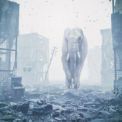 Poster - giant elephant in destroyed city