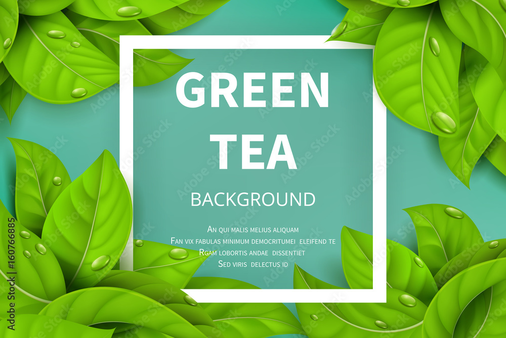Green tea leaves vector nature background Stock Vector | Adobe Stock