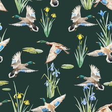 Watercolor Vector Pattern With Ducks
