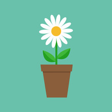 White Daisy Chamomile In Pot. Cute Flower Plant Collection. Love Card. Camomile Icon Growing Concept. Flat Design. Green Background. Isolated.
