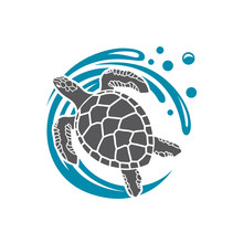 Sea Turtle Icon With Water Wave