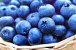 Wicker basket of fresh ripe sweet juicy blueberries, selective focus