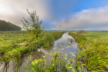 Poster - Bright summer landscape river landscape