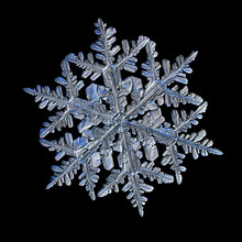 Snowflake Isolated On Black Background. Macro Photo Of Real Snowflake: Big Stellar Dendrite Snow Crystal With Glossy Relief Surface, Fine Symmetry, Six Long, Elegant Arms With Lots Of Side Branches.