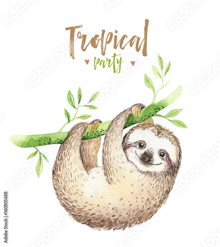 dziecko-zwierzat-opieszalosci-pepiniera-odizolowywajacy-obraz-akwareli-boho