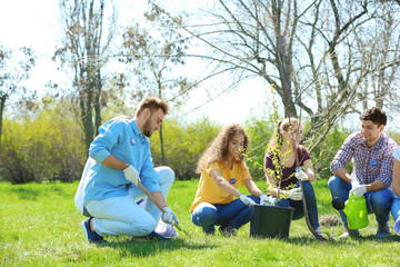 Canvas Print - Group of volunteers working in park on sunny day