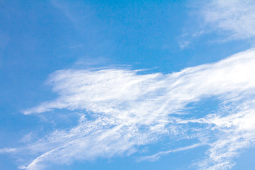Wall Mural - the brigth blue sky background on the day