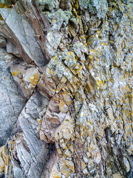 Wall Mural - A rock wall in Scottish land