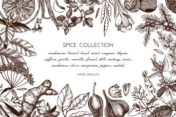 Wall Mural - Hand drawn spices and herbs design