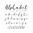 © tabitazn - Hand drawn vector alphabet. Script font. Isolated letters written with marker or ink. Lettering.