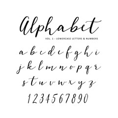 Hand drawn vector alphabet. Script font. Isolated letters written with marker or ink. Lettering.